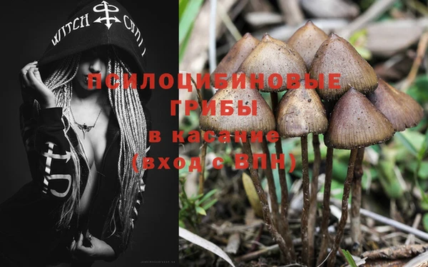 ГАЛЛЮЦИНОГЕННЫЕ ГРИБЫ Краснотурьинск