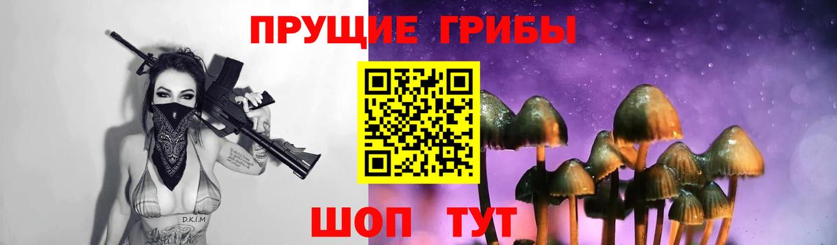 Галлюциногенные грибы Cubensis Горно-Алтайск